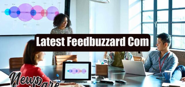 Latest Feedbuzzard Com Explained: What It Is and Why People Are Talking About It