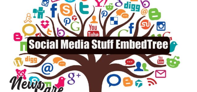 Social Media Stuff EmbedTree Explained: Features and Benefits