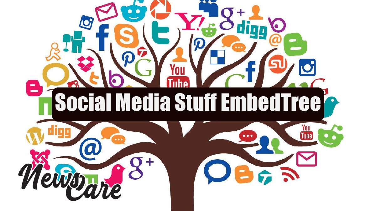 Social Media Stuff EmbedTree Explained: Features and Benefits