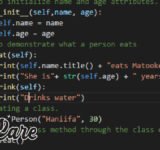 What Is Bvostfus Python? A Complete Beginner’s Guide for 2026